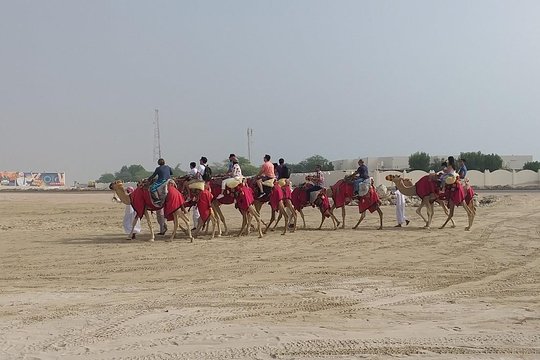 Tour image 7