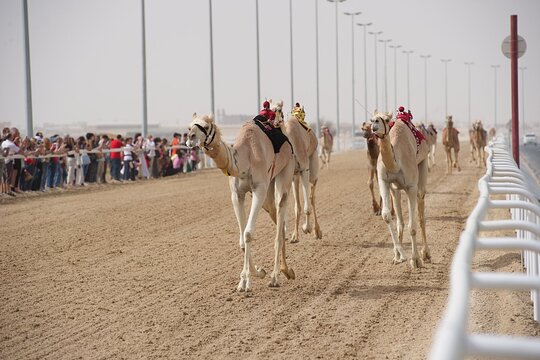 Tour image 4