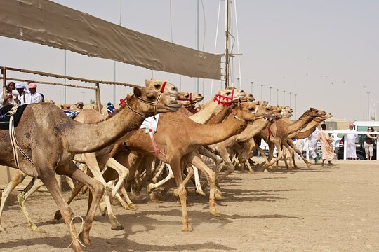 Tour image 6