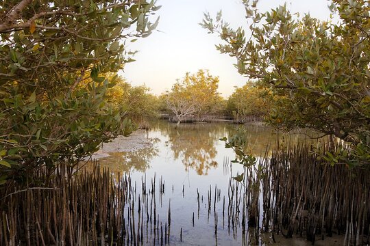 Tour image 6