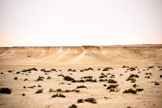 Tour image 4