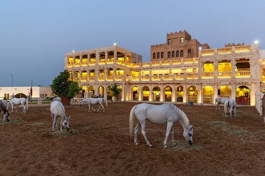 Tour image 5