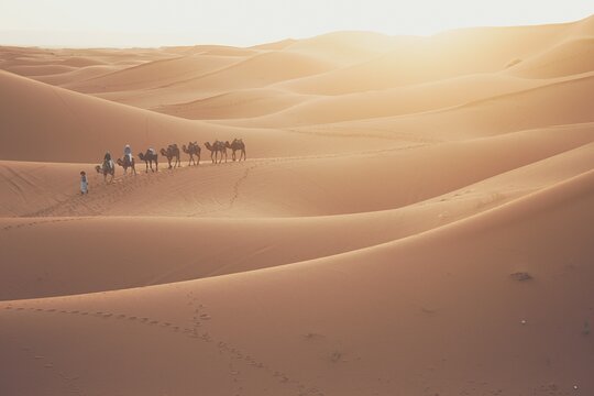 Tour image 8