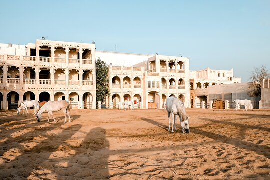 Tour image 5