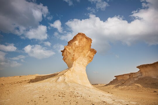 Tour image 7
