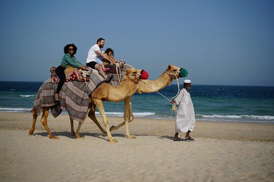 Tour image 6